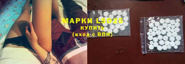 соль ск Горнозаводск