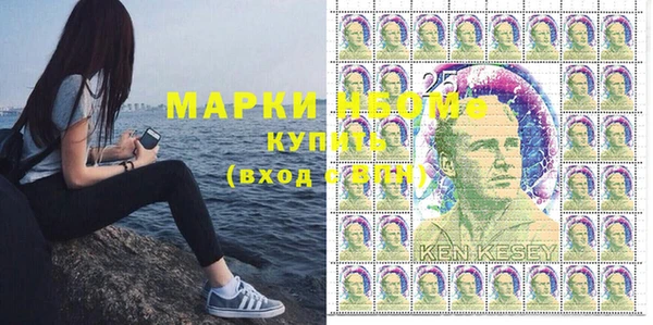 соль ск Горнозаводск