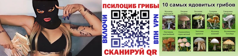 Купить  Печоры  Галлюциногенные грибы мухоморы 